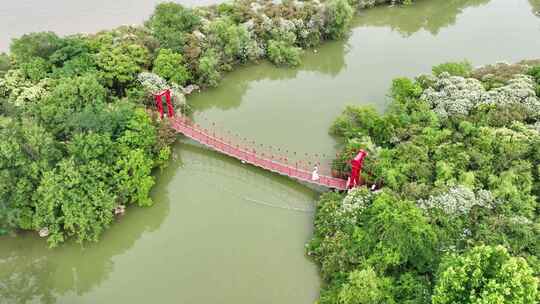 吴淞炮台湾湿地森林公园