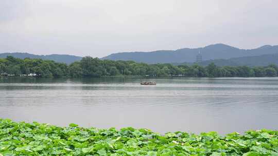 夏天杭州西湖景区