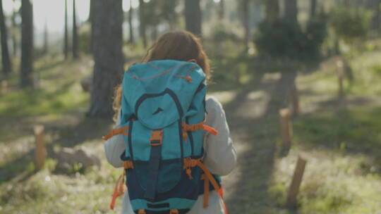 背包客在森林里徒步旅行的背影