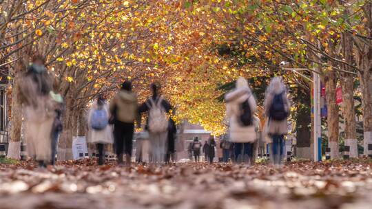 秋天大学校园踩着树叶匆匆上课下课的人学生