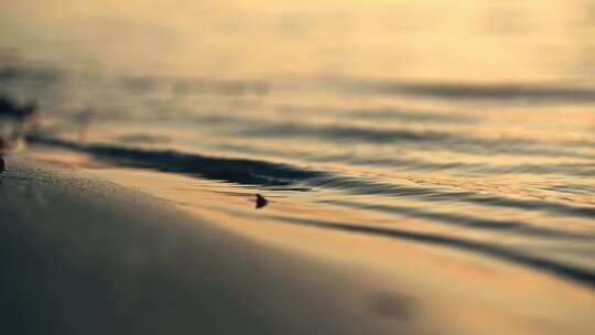 夕阳沙滩金色水浪拍打岸边潮水