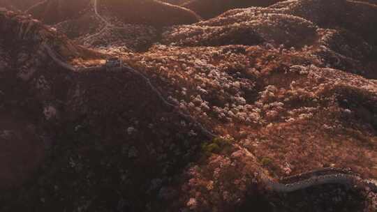 航拍春天的长城日出阳光照耀在漫山遍野