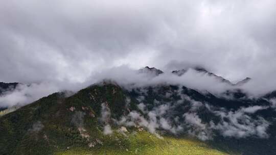 森林高山清晨云雾