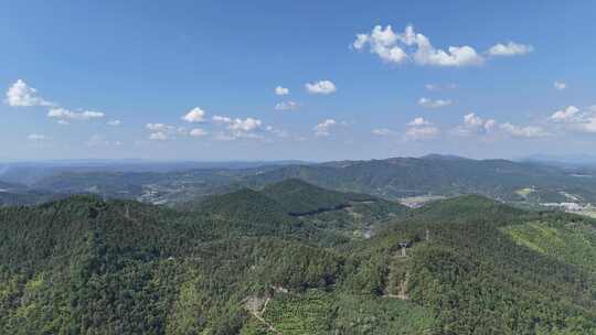 航拍山川丘陵大山山脉森林植物