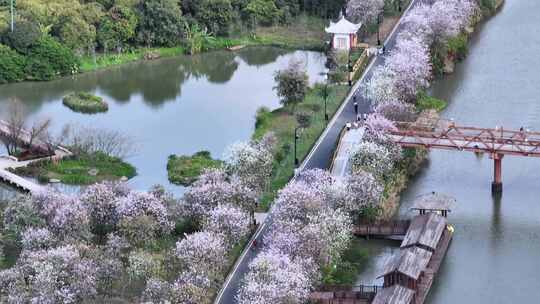 广州国家湿地公园航拍