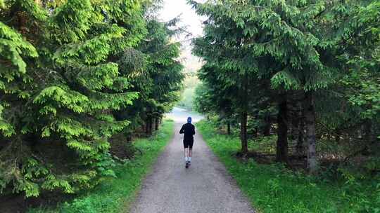 晨跑公园跑步健身运动森林公园跑步