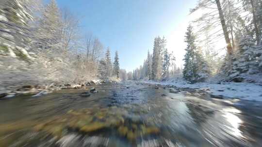 穿越冬天森林里的河流视频素材模板下载