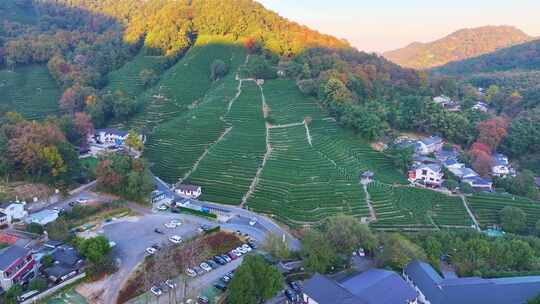 唯美杭州西湖龙井茶文化景区航拍茶园地茶叶