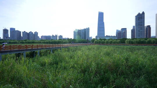 武汉江岸区汉口江滩风景