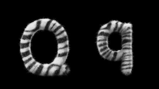 大写和小写斑马羊毛字母Q的3D动画视频素材模板下载