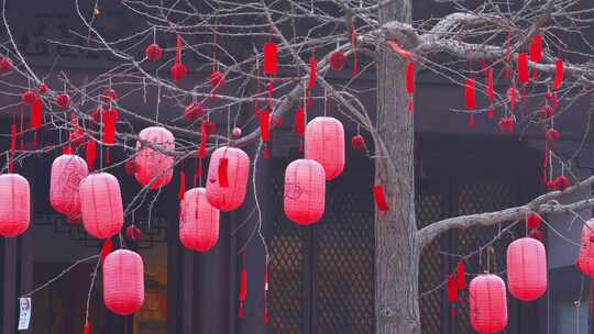 杭州西湖钱王祠新年祈福红灯笼