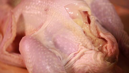 【镜头合集】食材肉鸡白羽鸡白条鸡视频素材模板下载