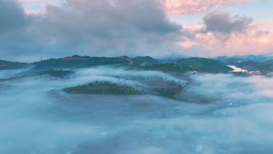 云雾缭绕的茶山日出