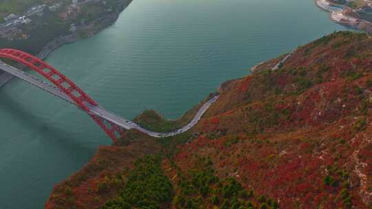 三峡红叶