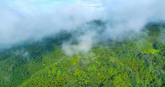 5K航拍广东南岭山脉大山高山山峰山脊岭南