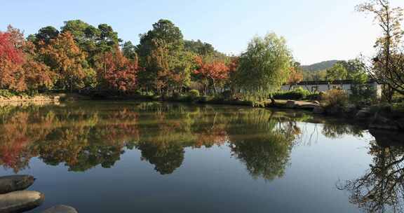 秋天苏州天平山古建筑秋叶秋色