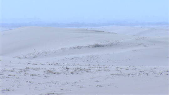 宁夏 沙漠地平线和枯萎植物滩