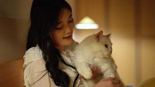 家居萌宠可爱宠物猫咪独居女孩