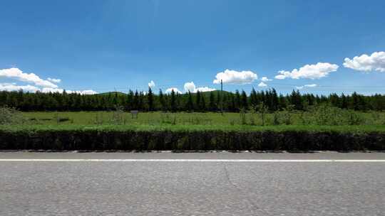 开车行驶在草原道路中  第一视角草原风景