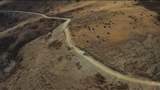 航拍越野车行驶在高原草甸半山腰的山路上