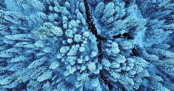 冬季森林航拍雪景