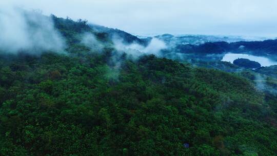 航拍森林云海自然风景