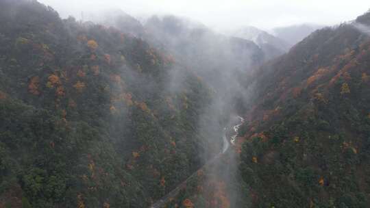 漫山红叶巴中光雾山附近