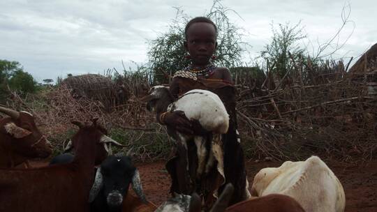 非洲小孩抱着小羊视频素材模板下载