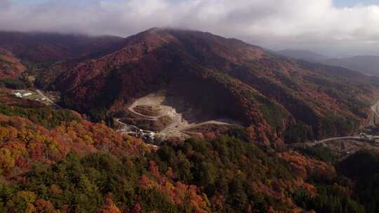 秋天日本阿尔卑斯山上空的一只苍蝇及其秋叶