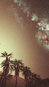 夜景与剪影小屋和椰子树与银河银河在天空中