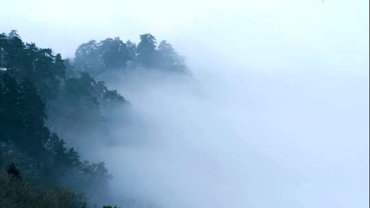 冬季山间树木云雾云海