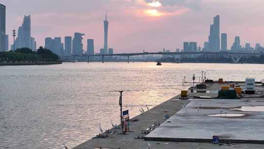 中国广东省广州市海珠区琶洲大桥全景