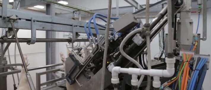 现代化猪肉加工厂 现代化食品加工视频素材