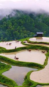 醉美风景，落日余晖映仙境，绝美风景