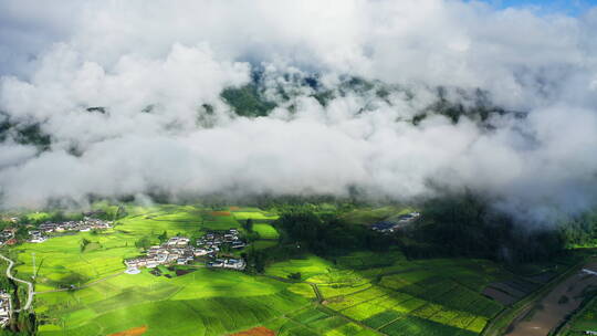 雨后乡村云雾缭绕 唯美阳光 绿色稻田