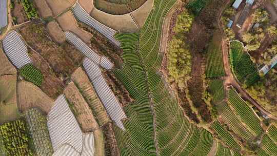 中国云南田园风景