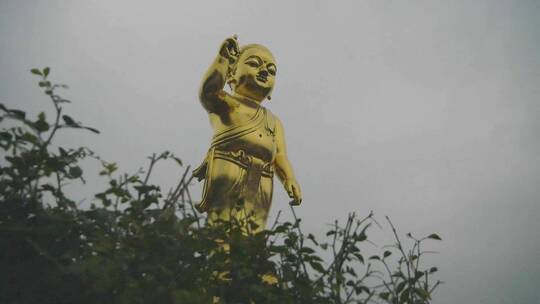 释迦牟尼佛祖出生地尼泊尔蓝毗尼升格旅拍