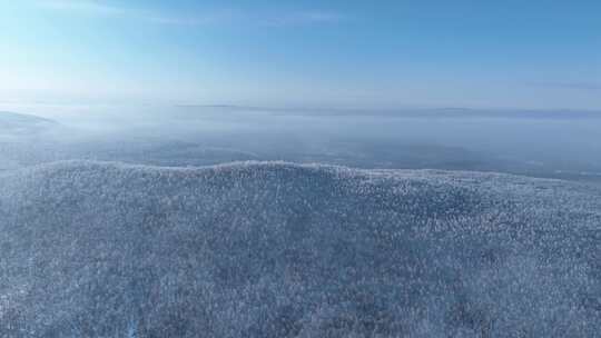 航拍林海雪原高山雾凇晨光冻雾