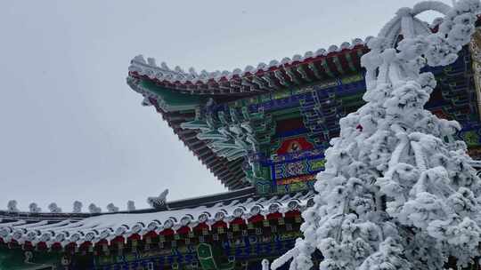 洛阳老君山金顶建筑屋檐雪后冰冻