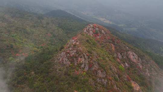 福州闽侯县猫山杜鹃花徒步云雾航拍