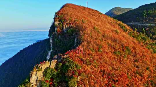 大气航拍巫峡云海红叶