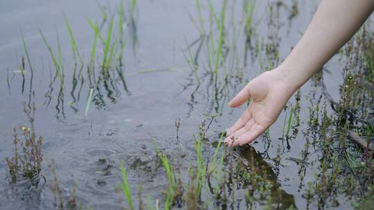 美女湖边手泼水玩水水花