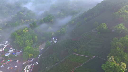 航拍山谷森林云雾  绿水青山 自然环境