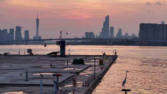 中国广东省广州市海珠区琶洲大桥全景