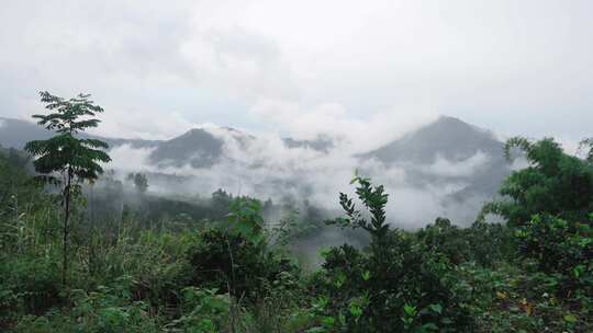 大山里的云雾