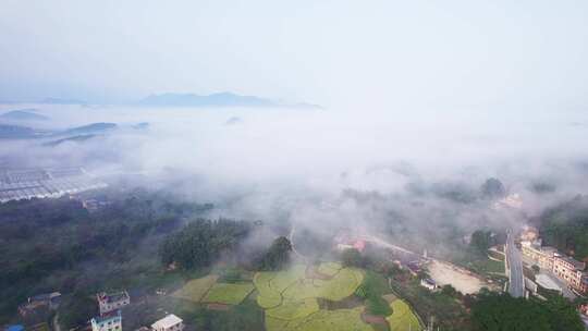 广州从化区桂峰村美丽乡村云海日出晨雾航拍