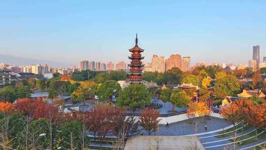 上海秋天 龙华寺秋天 上海地标秋色