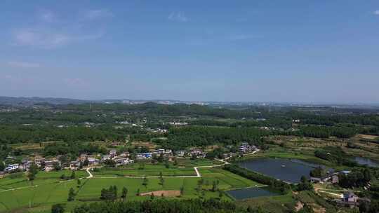 乡村田野、四川罗江广袤土地