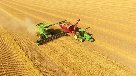 秋天农业小麦粮食丰收收割机
