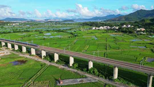 乡村田野上的高铁高架桥风景